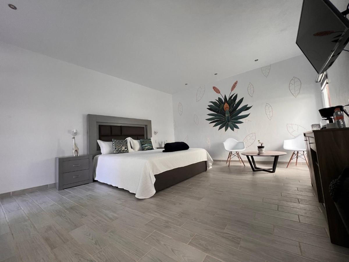 Casa Clementina Hotel Текила Екстериор снимка